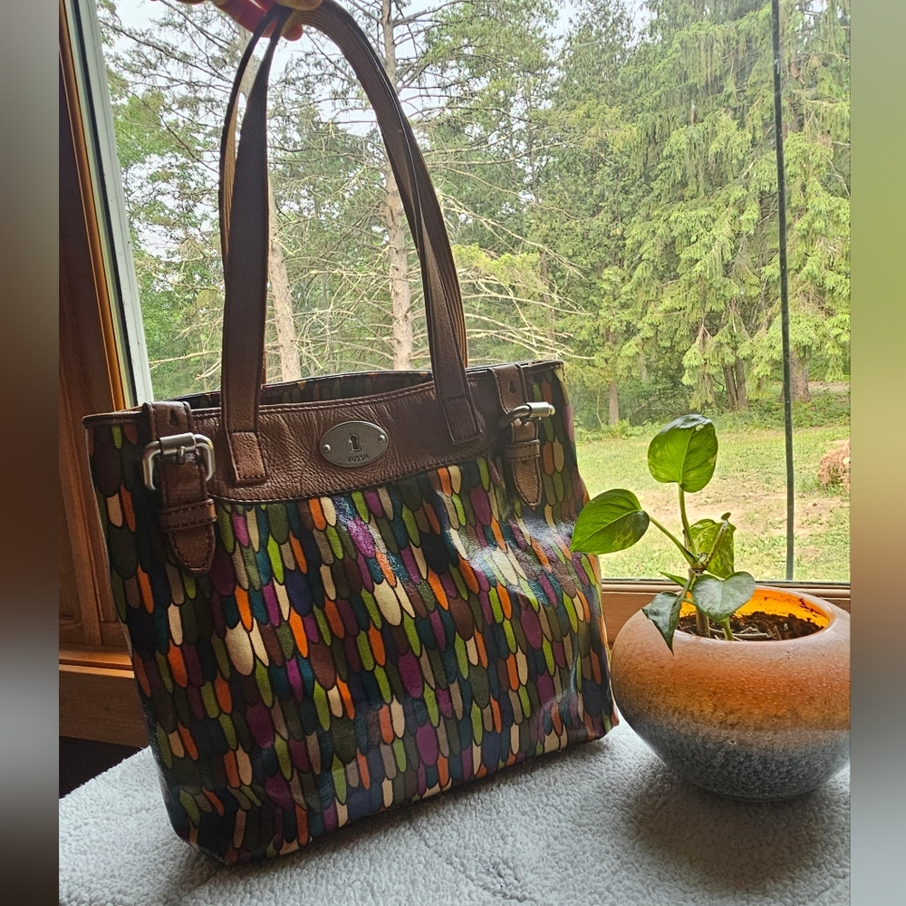 Fossil Multicolor Shoulder Bag